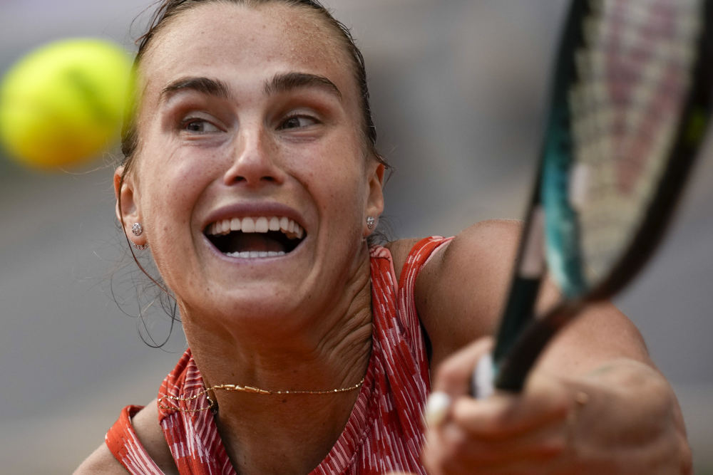 帕利尼亚需 帕利尼亚需