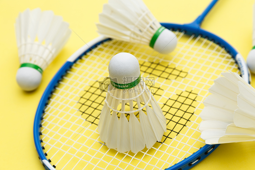 并迅速成名 并迅速成名