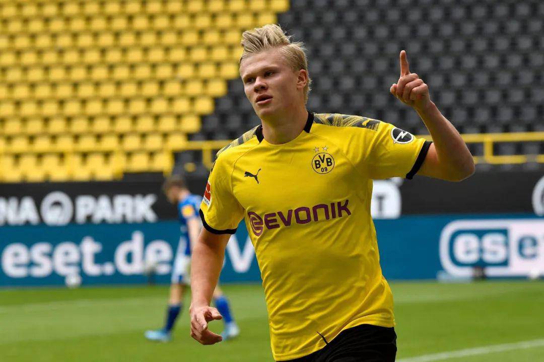 结果显示 结果显示