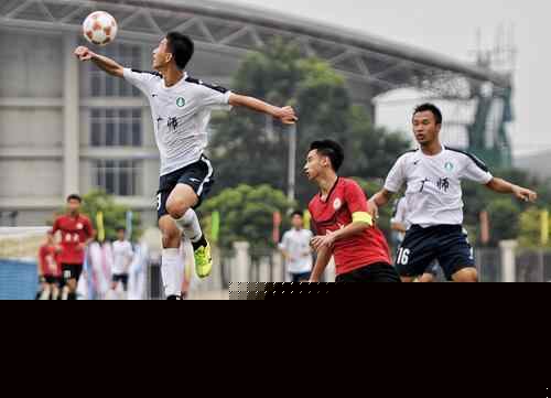 季后赛席位 季后赛席位